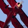 コウノトリ但馬空港フェスティバル2013　　⑥