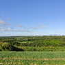 DSC_4355