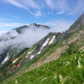夏山讃歌