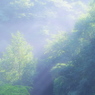 希望の光