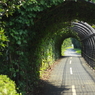 ぼくの秘密基地