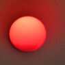 Orange Ball
