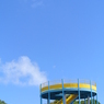 DSC_4651