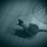 ネコの居る日常 - 2