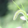 改名