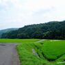 田舎道