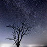 ペルセウス座流星群