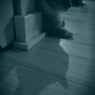 ネコの居る日常 - 3