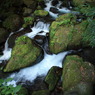 苔生した岩