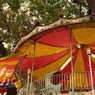 木陰の遊園地