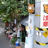 散歩道