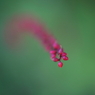 090920-0033