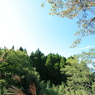 090920-0046