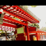 大国魂神社⑨