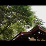 大国魂神社⑫
