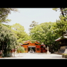 大国魂神社⑬