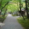 京都 天竜寺界隈