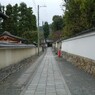 京都　妙心寺境内