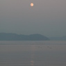 琵琶湖の水鳥と月