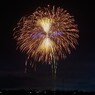 金の花にブラックホール