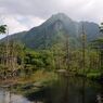善六沢