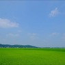 空
