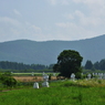 野辺山　電波ヘリオグラフ　84台