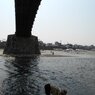 夏の錦帯橋