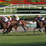 切符は３枚だけ