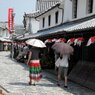 山口県柳井市