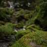 IMG_0077