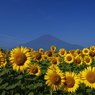 富士三昧145　山梨県弾丸ロケハン3