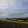 IMG_4764