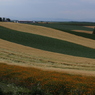 IMG_4767