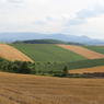 IMG_4800