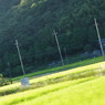 鳥居のある村