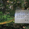 【Ｋｅｅｐ ｏｕｔ】