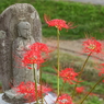 見つめ続ける