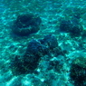 #13 Seas Beneath