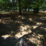 平和記念公園　影