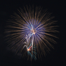 夜花-Night Flower-