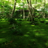緑、心静かに
