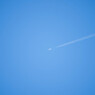 fish in the sky!!