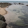 綺麗な海辺