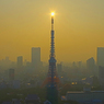 東京タワーに日が灯る