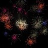 単発の華-8