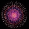 単発の華-11
