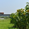 津軽鉄道
