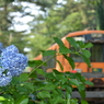 津軽鉄道
