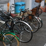 【ここ道路ですけど。。。】